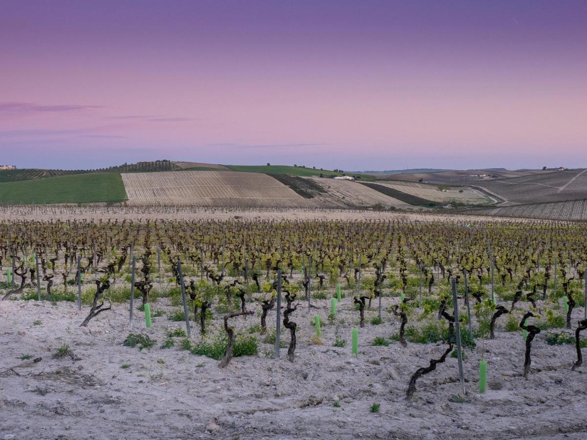 La Ermita Fjhomefj Jerez de la Frontera Bagian luar foto